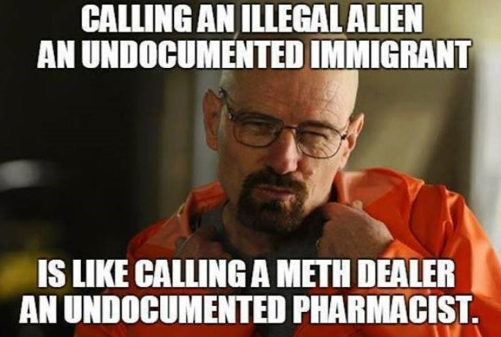 Politically Correct words: Calling an illegal alien an undocumented immigrant is like calling a meth dealer an undocumented pharmacist.