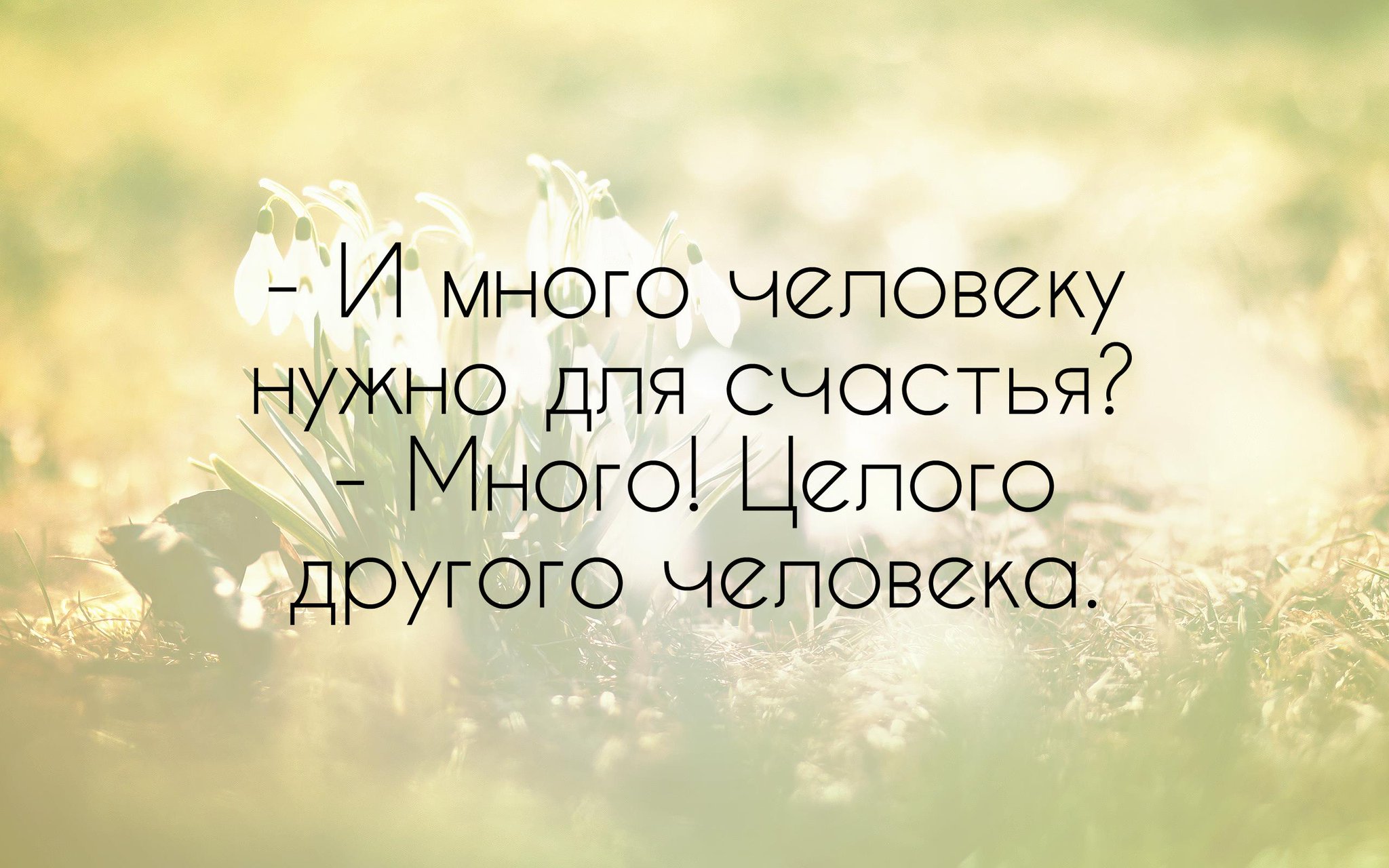 Мысли со смыслом о жизни. Красивые цитаты. Красивые фразы. Интересные высказывания. Цитаты про жизнь.