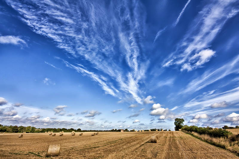 Blue sky