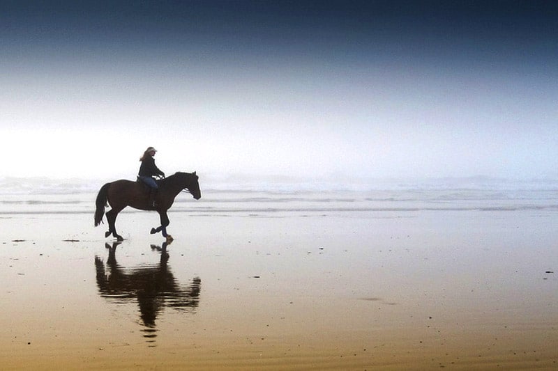 Girl riding on horse in the desert