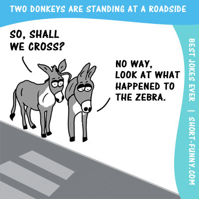 Two donkey Pun