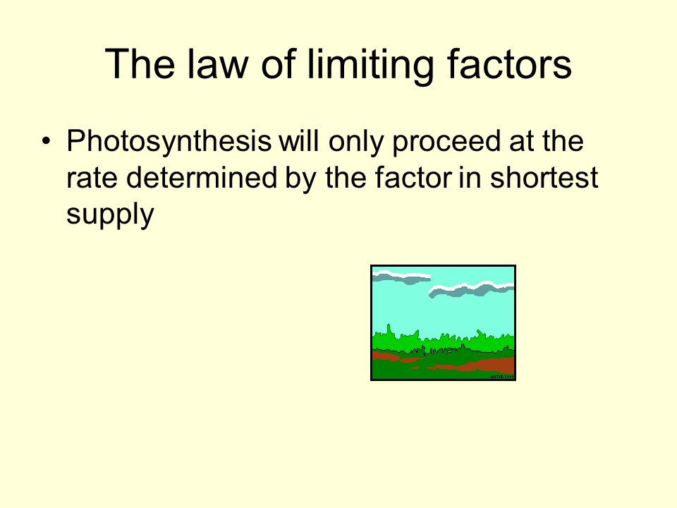 The law of limiting factors