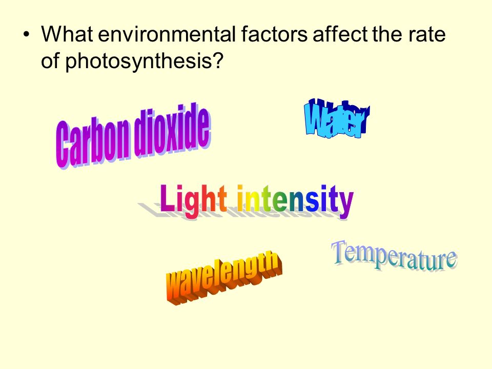 Carbon dioxide Water Light intensity Temperature wavelength