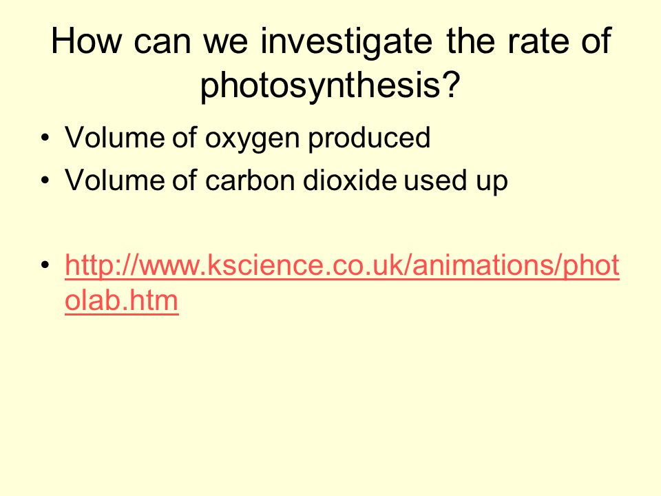 How can we investigate the rate of photosynthesis