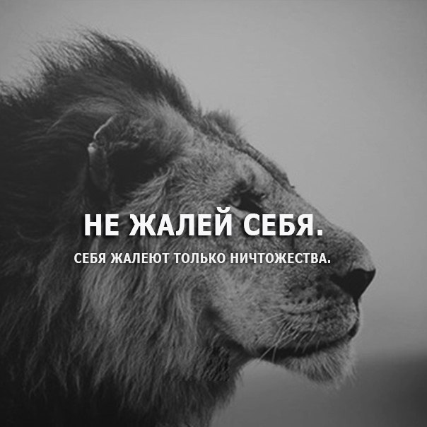 Картинки жалеть себя не обязательно